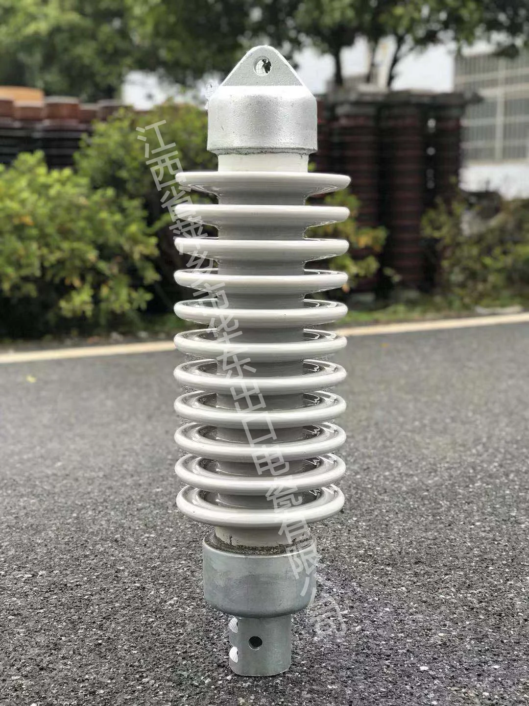 1铁路专用棒式瓷绝缘子