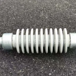 2铁路专用棒式瓷绝缘子2